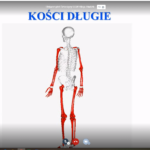 Namacalne warsztaty zdalne